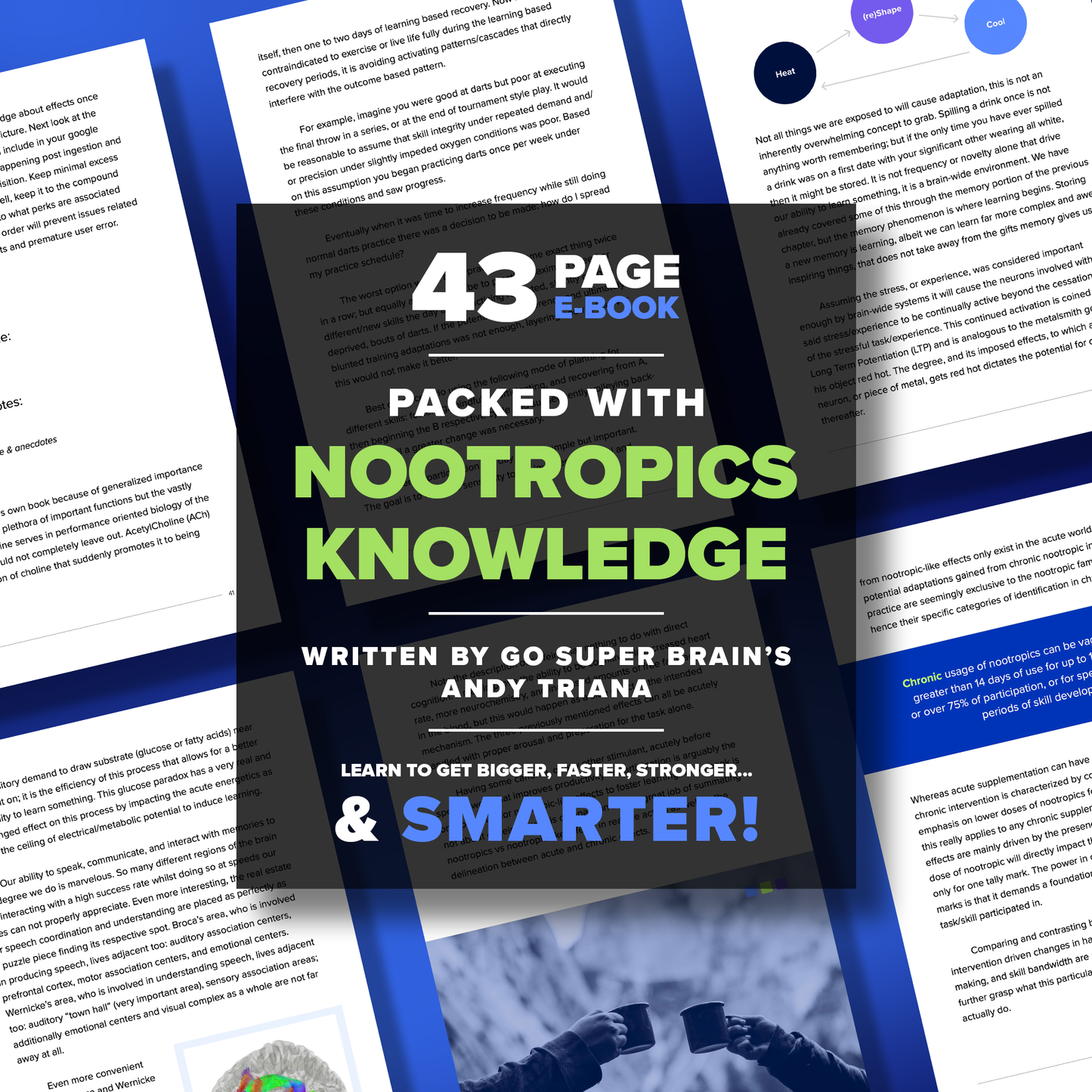 Nootropics User Manual (E-Book)